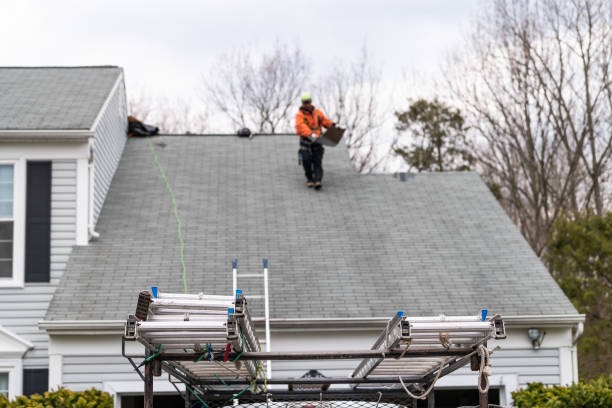 Professional Roof Replacement Bellevue with Quality Materials