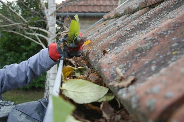 Gutter Cleaning Columbus Prevent Costly Roof and Foundation Repairs