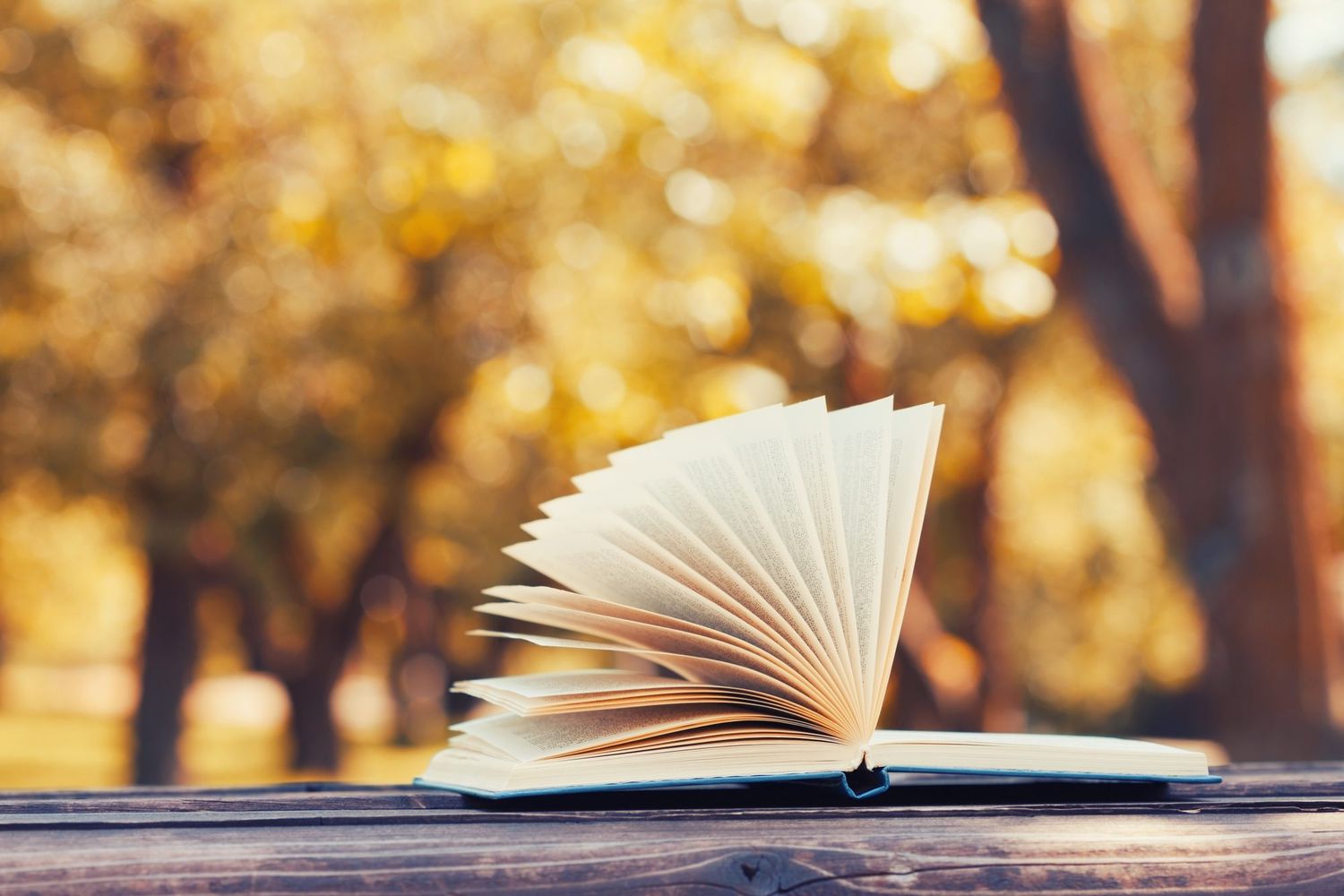 Learning Outcomes and Interactive Textbooks: Are They Better for Learning in Modern Education
