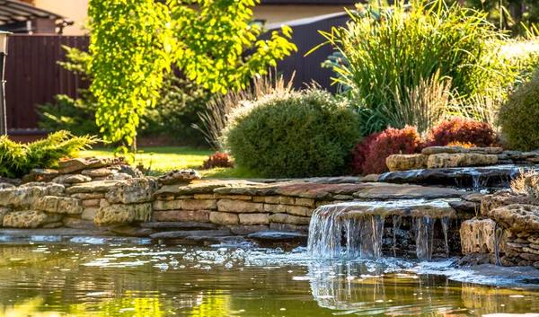 Elevate Your Outdoor Space With Expert Landscaping