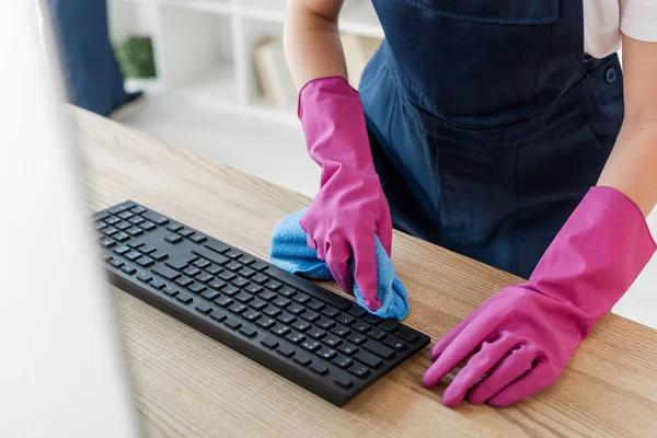 The Benefits of Regular Professional Window Cleaning