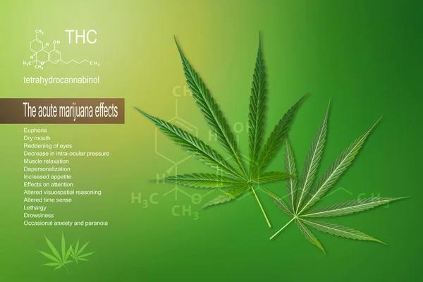 A Complete Guide to THCA in Austin
